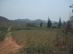 27839IMG_4781.JPG