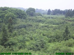 933R0015415_tag.jpg