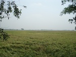 21835DSC08416.JPG