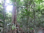 45639CIMG2724.JPG