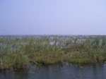 1379R0015139_small.jpg