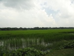 24557DSC00760.JPG