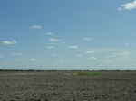 35115DSC02319.JPG