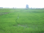 33562RIMG0227.JPG