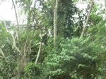 48159CIMG4496.JPG