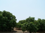 1726820042008(52).JPG