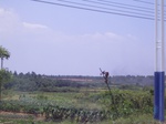 3564 132.jpg