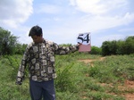1180754-cropland-chena-bringal-a.jpg