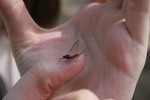 327IMG_3436.JPG