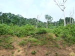 20672P1020529.JPG