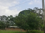 49839CIMG6176.JPG