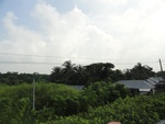 24604DSC00822.JPG