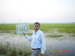 11354gt140-wetland-cropland-1.jpg