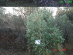 10824gt-028-wetland-seosonal-dry-streambed-02.jpg
