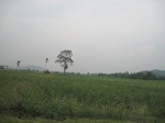 28348IMG_5213.JPG