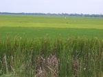 28064RIMG0119.JPG