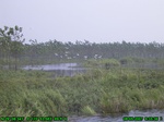 1290R0015094_tag.jpg