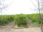 1771922042008(96).JPG
