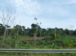 20108P1010959.JPG
