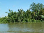 54643Bulungan (155).JPG
