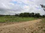 2012-08-31_10-24-26_CIMG0087.JPG