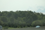 2024-09-24_16-39-50_790AD6BA-9D80-4B60-8CD7-6FF9A533E860.jpeg