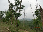 53564CIMG6915.JPG