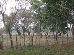 30054IMG_5342.JPG