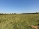 24707DSC01131.JPG