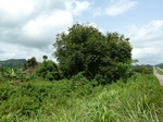 18208P1000044.JPG