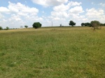 53983IMG_0191.JPG