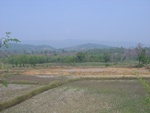 28192RIMG0181.JPG