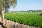34697Egypt 015.jpg