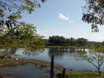 5746100_1335.JPG