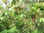 48036CIMG4373.JPG