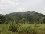 49088CIMG5425.JPG