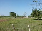 5851100_1516.JPG