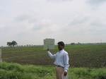 7977gt94b_cropland_jower_rice.jpg