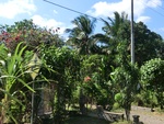 30160CIMG1694.JPG