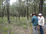 43723NSW004_L4.jpg