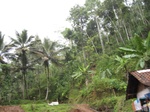 16355IMG_5139.JPG