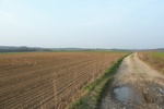 51326L1000445.JPG