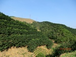 53303CIMG6575.JPG
