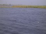1485R0015192_small.jpg
