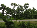 21972DSC00075.JPG
