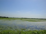 21336DSC00601.JPG