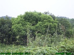 849R0015387_tag.jpg