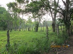 30037IMG_5359.JPG