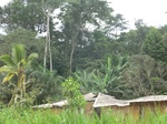 48874CIMG5211.JPG