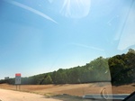 56539CIMG1585.JPG